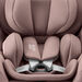 Britax DUALFIX PRO Dusty Rose